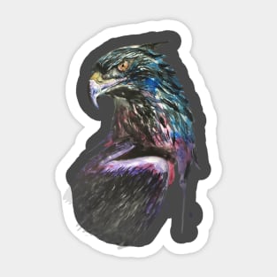 hawk, eagle, falcon Sticker